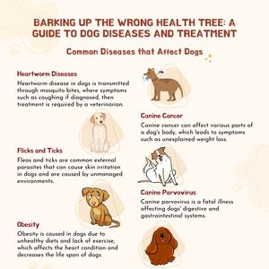 Kit rapide de <span class=keywords><strong>test</strong></span> rapide d'anticorps <span class=keywords><strong>TOXOplasma</strong></span> <span class=keywords><strong>IgG</strong></span>/<span class=keywords><strong>IgM</strong></span> de diagnostic pour les kits de <span class=keywords><strong>test</strong></span> vétérinaire pour chiens - Product Image 5