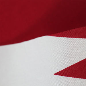 Прямые продажи с фабрики заказной ручной размахивающий полиэстеровый флаг страны Катар мини-пластиковый флаг США - Product Image 5