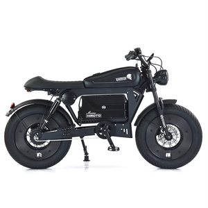 Bicicleta Eléctrica Fat Bike Utilitaria con Llantas Gruesas de 20 Pulgadas, Batería de Litio de 60V 50Ah, 3000W, para Adultos, Ciudad, Carretera, 7 Velocidades, Electrónica Digital SK-2 - Product Image 4