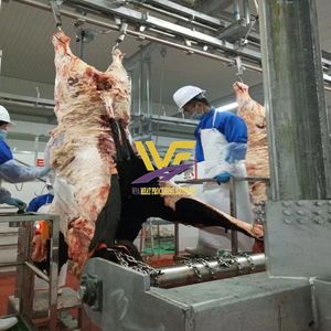 <span class=keywords><strong>Prix</strong></span> d'usine Machines d'abattoir de vaches Machine de décapage de bétail pour Bull Beef Abattoir Équipement de ligne d'abattage - Product Image 2