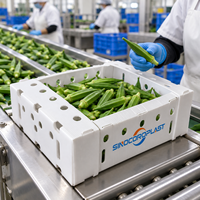 Boîte d'emballage personnalisée en plastique ondulé PP pour okra, pour le stockage des récoltes agricoles, découpée, ventilée et durable