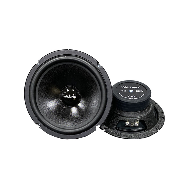 2022 OEM Round Car Midrange Speaker  Full Frequency Audio Speaker Driver for  Car Door