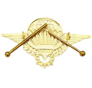 Badges en métal plaqués or personnalisés pour collier, nouveau design, pour parachutistes, <span class=keywords><strong>de</strong></span> défi et commémoratifs, vente en gros - Product Image 5