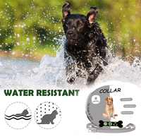 Collier pour animaux de compagnie en silicone réglable et imperméable, anti-puces et anti-tiques, à libération rapide, formule naturelle, protection de 8 mois pour chiens et chats