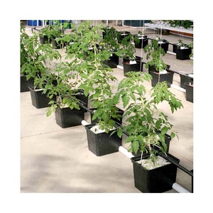 Agriculture hydroponics system plastic dutch bucket for pepper bato bucket used in greenhouses