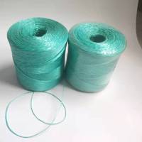 Cordon en nylon torsadé rouge et blanc de 2 mm, 100 mètres, à deux brins