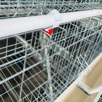 Cages en Batterie pour Volaille Type A, Cages à Pondre pour Poules Pondeuses en Élevage Avicole