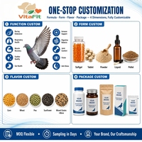Complément Nutritionnel Personnalisé pour Pigeons OEM ODM, Pilules Vitaminées pour Pigeons de Course Geliwang, Approvisionnement Direct Usine, Service de Marque Privée