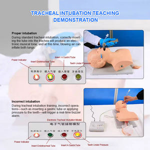 หุ่นจำลองการใส่ท่อช่วยหายใจทางหลอดลมมนุษย์ BIX-J5S สำหรับการสาธิตโรคพร้อมระบบเตือนภัย ใช้เป็นเครื่องมือการสอนทางการแพทย์ - Product Image 4