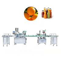 Yoursjoys RVS Automatische Fruit- en Groentesapverwerkingslijn Sinaasappel Druiven Verpulvering Persen Sterilisatie CE