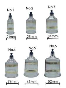 Set Profesional 12 Buah Acu-Mag <span class=keywords><strong>Cup</strong></span> dengan Pompa untuk Aplikasi Keamanan pada Terapi <span class=keywords><strong>Cupping</strong></span> Tubuh - Product Image 5