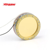 797 AUDIO CY032 1.1 pouces DIY Microphone Capsule Non-Centrage Unique Mylar Plaqué Or Diaphragme Condensateur Mic