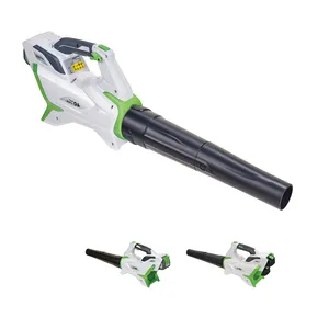 Sunray Cordless Electric Lithium Battery Garden Vacuum Air Leaf Blower