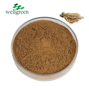 Chinese Herbal Indigowoad Root Extract Powder 10:1 TLC Radix Isatidis Root Extract