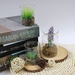 Plantas cuadradas en macetas <span class=keywords><strong>de</strong></span> madera maciza con una variedad <span class=keywords><strong>de</strong></span> suculentas, decoración <span class=keywords><strong>interior</strong></span> <span class=keywords><strong>de</strong></span> boda moderna personalizada, Mini bonsái - Product Image 3