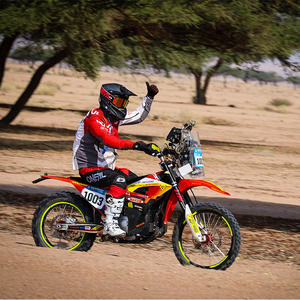 Arctic Leopard Exe880/800 Potencia máxima 125 km/h Rango 215KM Bicicleta eléctrica Motocicleta <span class=keywords><strong>con</strong></span> batería integrada y motor central - Product Image 5