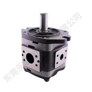 Bomba hidráulica de engranajes Leming Hydraulics con cuerpo de hierro fundido, 18 Lpm, 3500 Psi, bomba rotativa para sistemas industriales de alta presión - Product Image 2