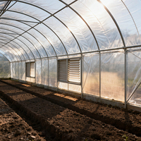 Serre tunnel agricole à simple travée en film plastique haute performance pour la culture de tomates en pépinière