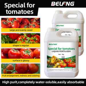 <span class=keywords><strong>Engrais</strong></span> <span class=keywords><strong>liquide</strong></span> soluble dans l'eau BELFNG à base d'acides aminés pour tomates, pureté 100%, <span class=keywords><strong>engrais</strong></span> organique à action rapide pour plantes - Product Image 1