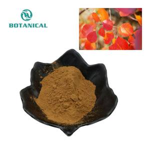 Cas No:528-48-3 Cotinus Coggygeaエキス10%-98% フィセチン粉末カプセル - Product Image 3