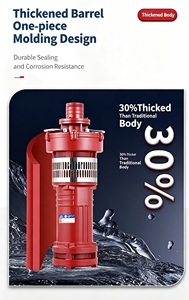 <span class=keywords><strong>Pompe</strong></span> submersible à immersion dans l'huile en fonte, série QY, norme GB, antidéflagrante, 3 CV, grand volume, pour irrigation agricole - Product Image 3