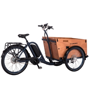 250w Electric Family Cargo <strong>Bike</strong> - Product Image 4