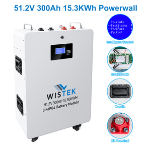 ก้อนแบตเตอรี่15KWh ติดผนัง1P16S แบตเตอรี่ลิเธียมไอออนขนาด51.2V 300Ah พร้อม BMS 200A สต็อกเรา - Product Image 3