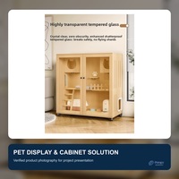 Villa pour chat moderne personnalisée en verre et bois massif, cage fermée pour chat d'intérieur avec toit en bois pour toutes les saisons