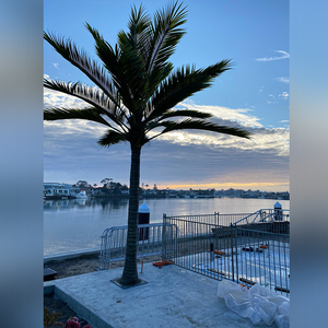 Anti-congelación Anti-UV Anti-decoloración <span class=keywords><strong>Hotel</strong></span> <span class=keywords><strong>Villa</strong></span> piscina sitios turísticos Artificial al aire libre los árboles de <span class=keywords><strong>palma</strong></span> - Product Image 2