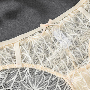 Groothandel Sexy Vrouwen Doorzichtig Voile Hipster Slipje Ondergoed Tienermeisjes In Kanten Slipje Voor Vrouwen - Product Image 5