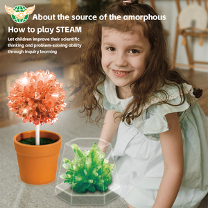 2024 nouveau produit Science Kit expériences <span class=keywords><strong>cristaux</strong></span> arbre de noël Science expérience cristal croissant Science jeu - Product Image 3