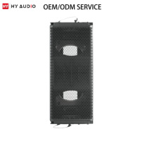 HY AUDIO Boîtier de haut-parleur Line Array vide, Fourniture d'usine, Boîtiers de haut-parleurs Line Array personnalisés, Vides et professionnels
