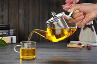 Théière en verre borosilicate transparent de 600 ml (20 oz) compatible avec les plaques de cuisson, avec infuseur à thé et café en acier inoxydable