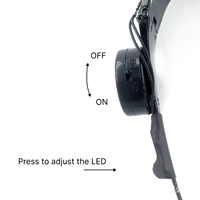 Accessoires de costume lumineux de qualité supérieure pour Halloween, pour boule LED gonflable avec impression de logo personnalisé et livraison rapide avec OEM