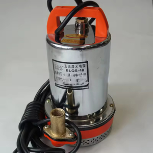 Bomba de Agua Sumergible de Precio de Fábrica 12v 24v 48v DC para Jardín, Agricultura, Riego, Uso Doméstico OEM - Product Image 1