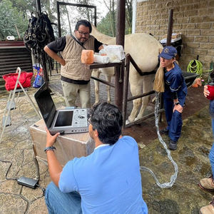 Mesin <span class=keywords><strong>Ultrasound</strong></span> Doppler Warna Edan Acclarix AX3 Vet, Mesin Pencitraan Hewan Portabel untuk Penggunaan Klinik dan Rumah Sakit Hewan - Product Image 4