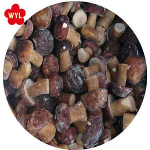 Mùa mới Hoang Dã porcini iqf Nấm Đông lạnh <span class=keywords><strong>boletus</strong></span> <span class=keywords><strong>edulis</strong></span> toàn bộ khối - Product Image 5