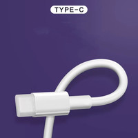 Protection de câble de charge Type-C et bouchon anti-poussière pour port de charge