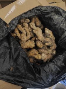 Biologische Chinese Verse Gember, Verse Gedroogde Gember Uit China Plakpatroon-Speciale Groothandelsaanbieding - Product Image 4