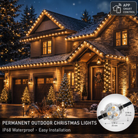 Contoh Gratis Lampu Led Pengontrol Aplikasi 12V Kecerahan Tinggi Lampu Sorot Permanen Natal
