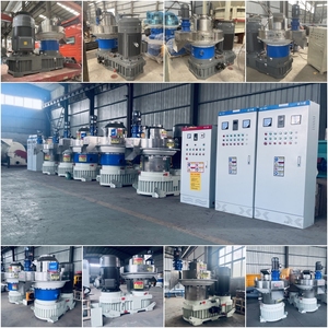 Mulino <span class=keywords><strong>Industriale</strong></span> per Pellet di Legno, <span class=keywords><strong>Pellettatrice</strong></span> Elettrica per Biomassa, <span class=keywords><strong>Pellettatrice</strong></span> per Legna da Ardere - Product Image 6