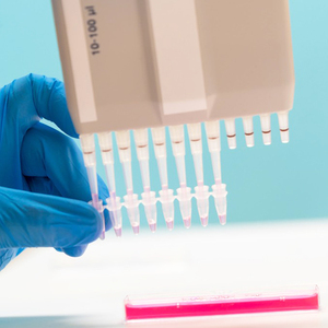 Tubes PCR en plastique de laboratoire de haute qualité, 8 ou 12 bandes, 0,2 mL - Product Image 2