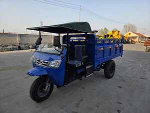 Triciclo Motorizado Diésel de 3 Ruedas, Capacidad de Carga de 4-5 Toneladas, Triciclo de Carga, Motocarro Agrícola, Triciclo de Carga <span class=keywords><strong>en</strong></span> Venta - Product Image 3