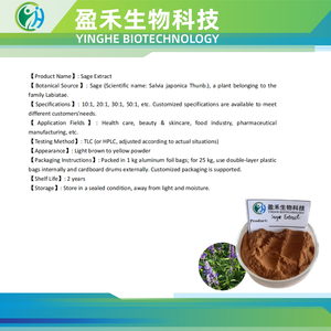 100% 天然セージハーブエキス粉末500g 10:1比率サルビアOfficinalis植物真空パックドラム缶包装 - Product Image 2