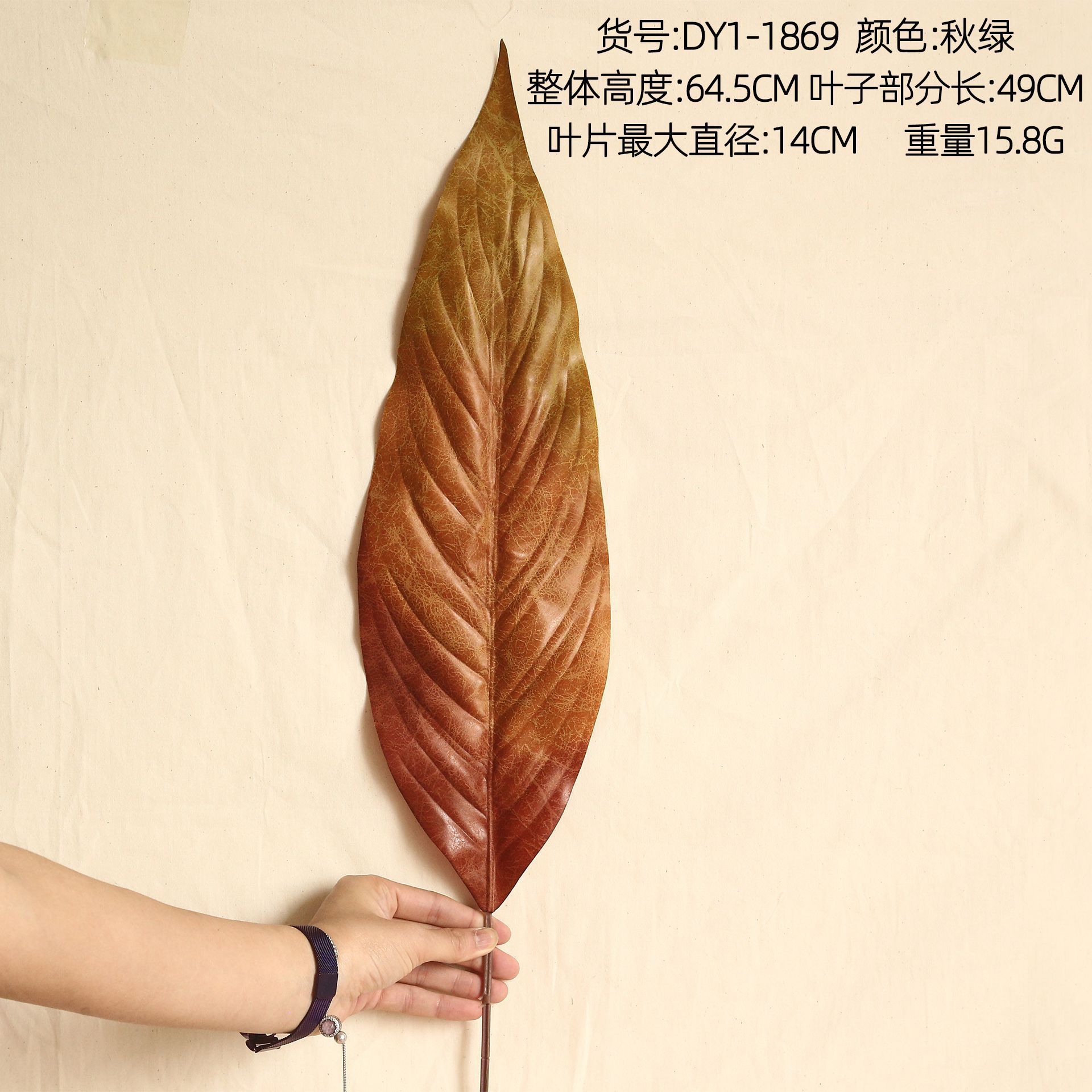 DY1-1869 Couleurs d'automne