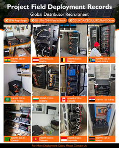 ระบบโซลาร์เซลล์ไฮบริดออฟกริดยอดนิยม แบตเตอรี่แยกส่วน 48V/51.2V 100Ah 200Ah 314Ah พร้อมอายุการใช้งาน 8000 รอบ และรับประกัน 10 ปี - Product Image 2
