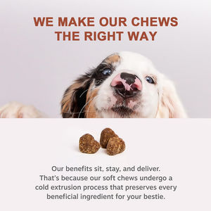 Vendita a caldo supporto Anti-prurito cane sollievo allergia Soft mastica cura della salute degli animali domestici e integratori per il sollievo della pelle - Product Image 4