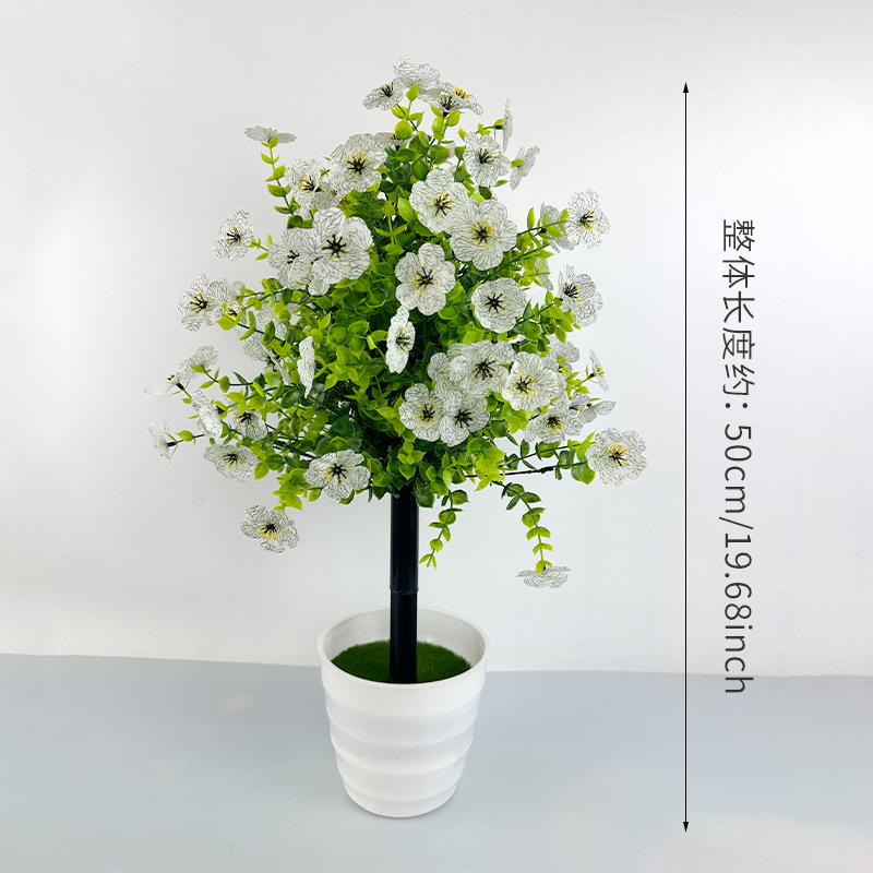 Blanc sans pot