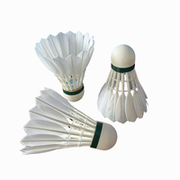 Raquette de badminton ST NO.8 Série Duck - Bien conçue, trajectoire stable, idéale pour l'entraînement en club.