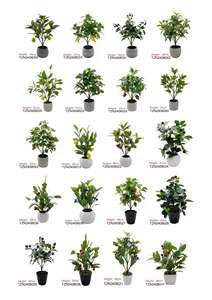 Tizen, artículos para el hogar de alta calidad, plantas falsas de plástico, bonsái, árbol de espino artificial en maceta de Pvc para decoración de interiores - Product Image 4